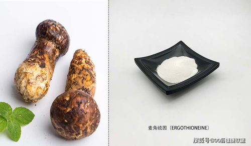 2020 最新植物提取物 化妝品原料 前沿熱點點評