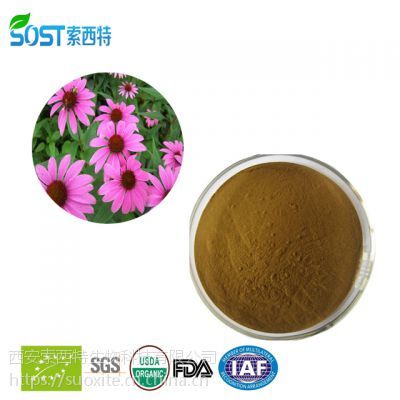 紫雛菊提取物 紫雛菊多酚 植物提取物價格 西安索西特生物規(guī)格多酚4%