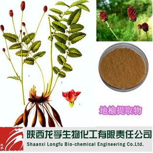 植物提取物-專業(yè)廠家現(xiàn)貨直銷 優(yōu)質 純天然 地榆提取物 地榆皂甙-植物提取物盡在.