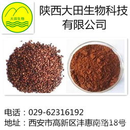 葡萄籽提取物 植物提取物原花青素 98