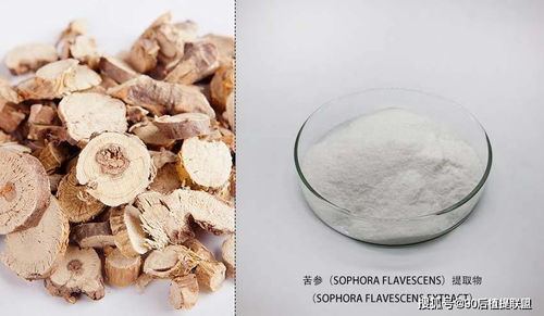 2020 最新植物提取物 化妝品原料 前沿?zé)狳c(diǎn)點(diǎn)評