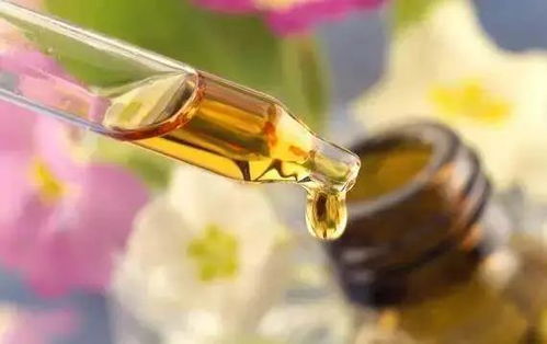 拒絕皮膚干燥飄雪，養生堂白樺樹汁身體乳要你好看