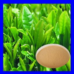 紅茶茶多酚 價格、型號規格與植物提取物特性詳解