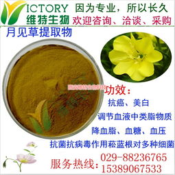 月見草提取物限時(shí)促銷，西安維特生物科技為您帶來(lái)純正植物精華